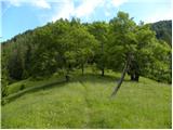 Erjavčev rovt - Planina Dovška Rožca